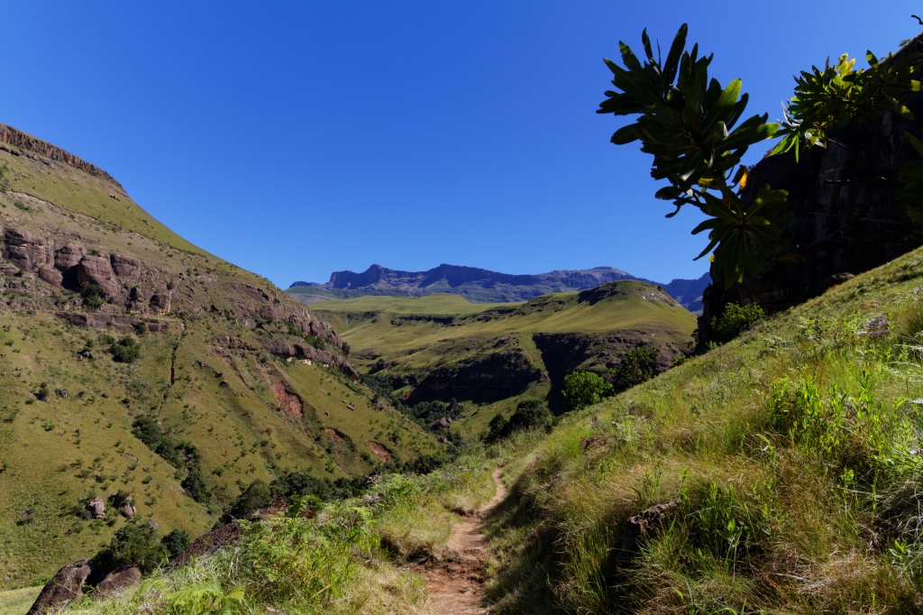 07 - Drankensberg NP (10).jpg